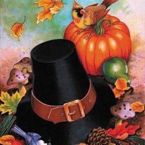 Meet your Posher, Judy